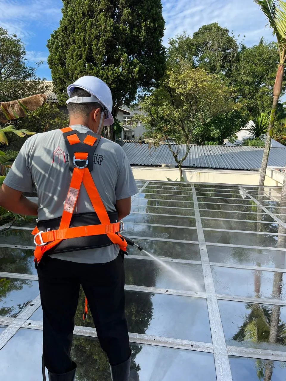 Limpeza Especializada